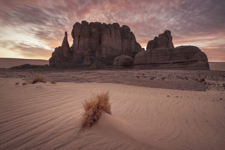 sand, desert, sahara-4492751.jpg
